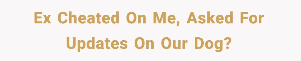 Ex Cheats And Leaves For TikTok Girl, Then Asks For Dog Updates So She Sends Photos Of It Pooping Ex cheated on me, asked for updates on our dog?