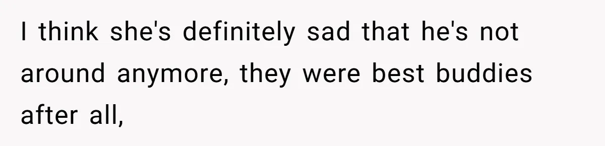 Ex Cheats And Leaves For TikTok Girl, Then Asks For Dog Updates So She Sends Photos Of It Pooping I think she's definitely sad that he's not around anymore, they were best buddies after all,