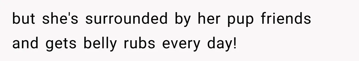 Ex Cheats And Leaves For TikTok Girl, Then Asks For Dog Updates So She Sends Photos Of It Pooping but she's surrounded by her pup friends and gets belly rubs every day!