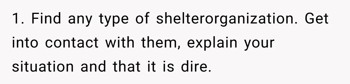 1. Find any type of shelterorganization. Get into contact with them, explain your situation and that it is dire.