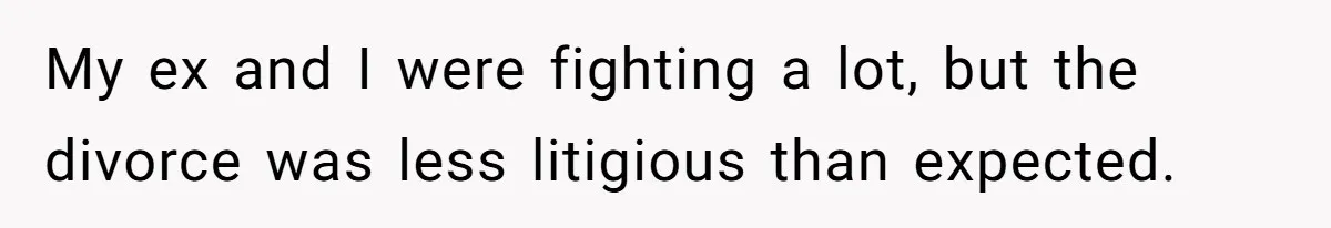 My ex and I were fighting a lot, but the divorce was less litigious than expected.