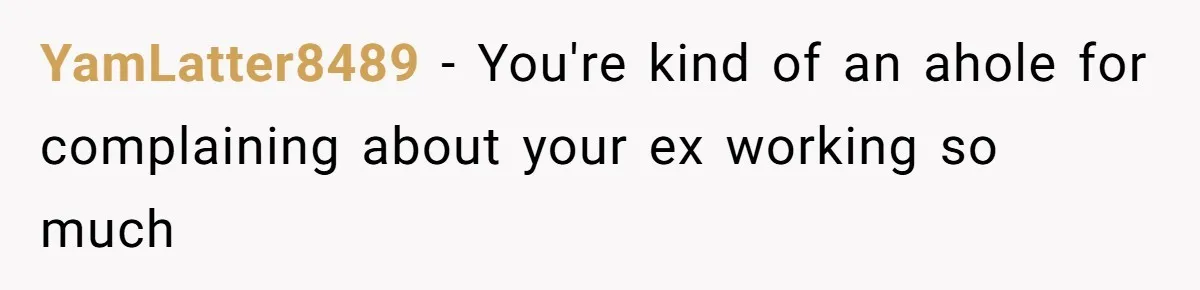 YamLatter8489 − You're kind of an ahole for complaining about your ex working so much