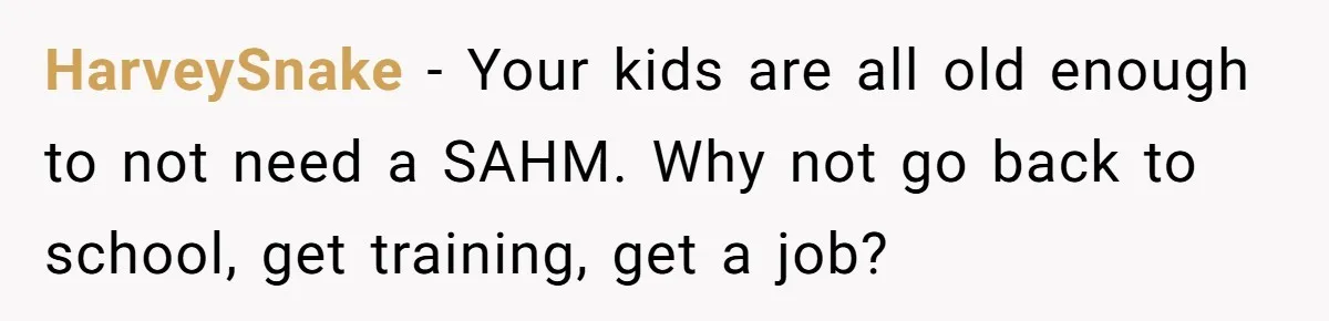 HarveySnake − Your kids are all old enough to not need a SAHM. Why not go back to school, get training, get a job?