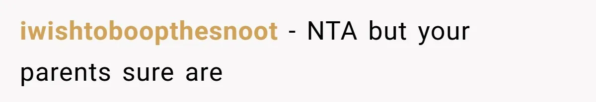 iwishtoboopthesnoot − NTA but your parents sure are