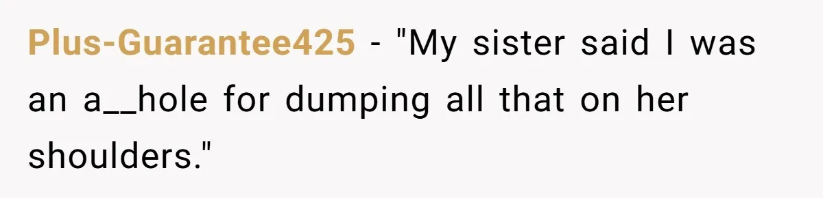 Plus-Guarantee425 − "My sister said I was an a__hole for dumping all that on her shoulders."