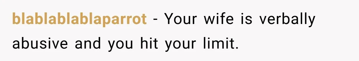 blablablablaparrot − Your wife is verbally abusive and you hit your limit.