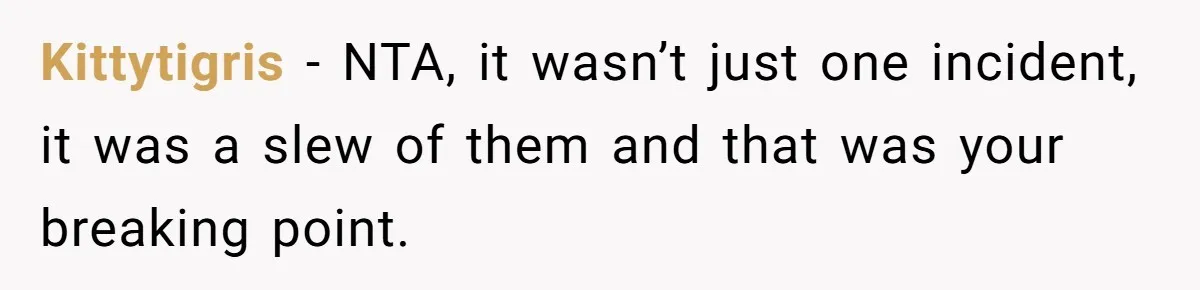 Woman Kicks Brother Out After He Blocks Pregnant Girlfriend And Celebrates “Bullet Dodged” Party Kittytigris − NTA, it wasn’t just one incident, it was a slew of them and that was your breaking point.