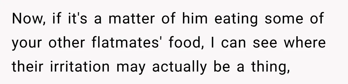 Now, if it's a matter of him eating some of your other flatmates' food, I can see where their irritation may actually be a thing,