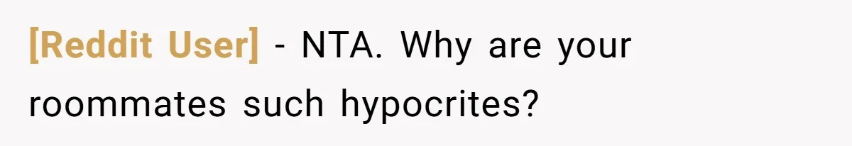 [Reddit User] − NTA. Why are your roommates such hypocrites?