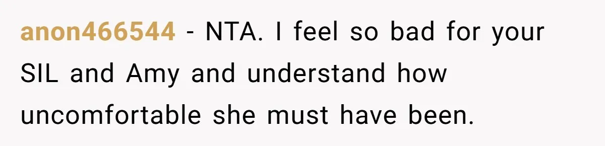 anon466544 − NTA. I feel so bad for your SIL and Amy and understand how uncomfortable she must have been.