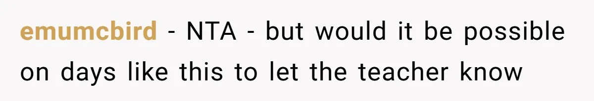 emumcbird − NTA - but would it be possible on days like this to let the teacher know
