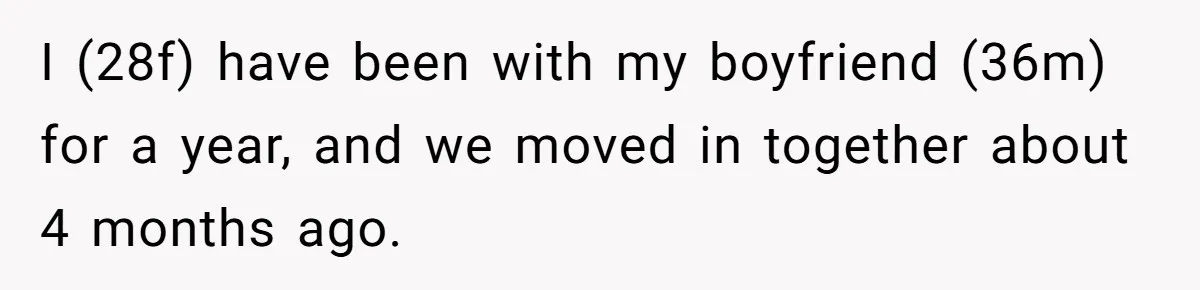 I (28f) have been with my boyfriend (36m) for a year, and we moved in together about 4 months ago.