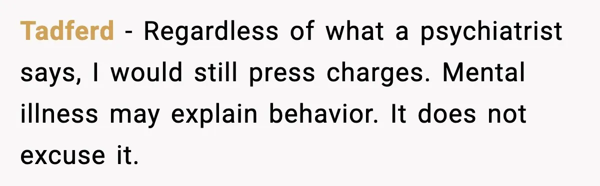 Tadferd - Regardless of what a psychiatrist says, I would still press charges. Mental illness may explain behavior. It does not excuse it.