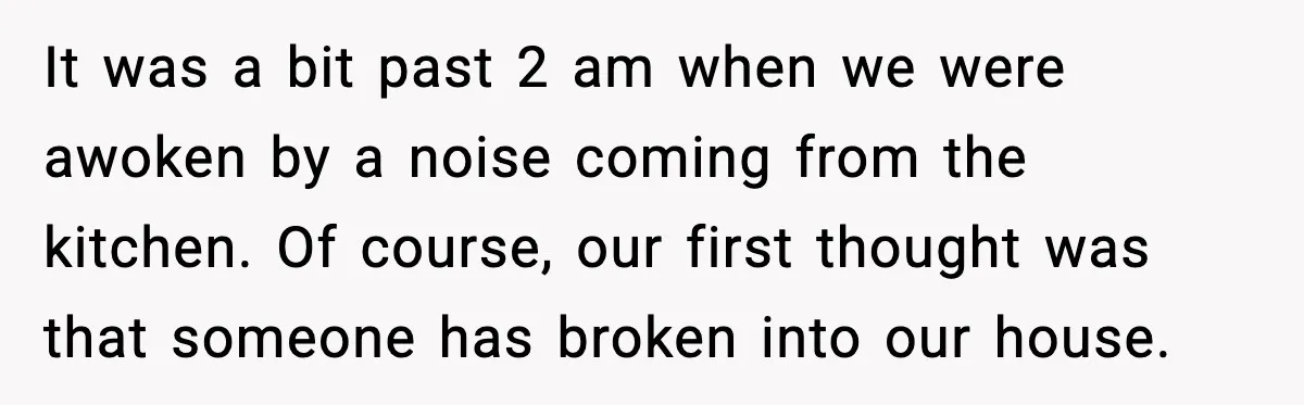 It was a bit past 2 am when we were awoken by a noise coming from the kitchen. Of course, our first thought was that someone has broken into our...