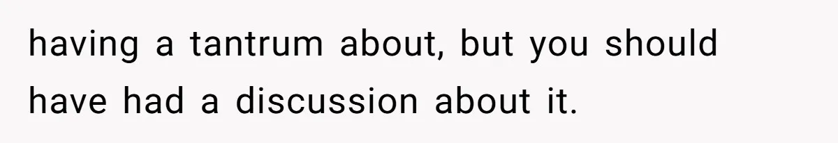 having a tantrum about, but you should have had a discussion about it.
