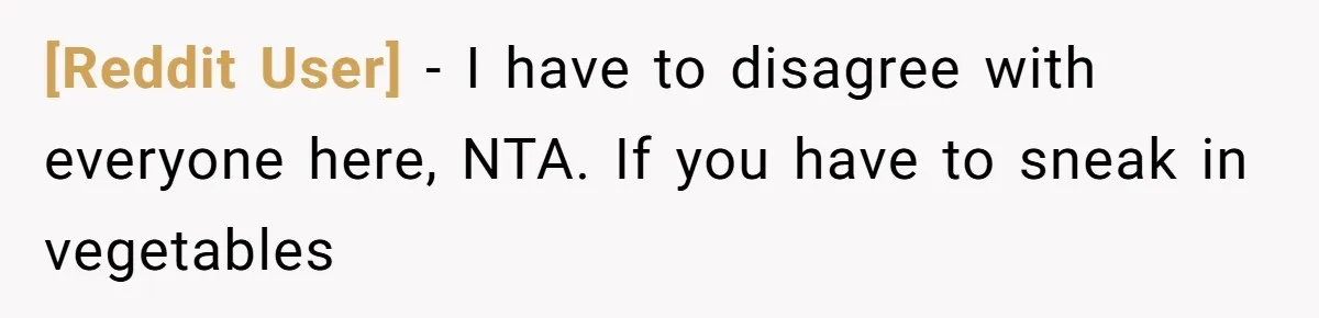 [Reddit User] − I have to disagree with everyone here, NTA. If you have to sneak in vegetables