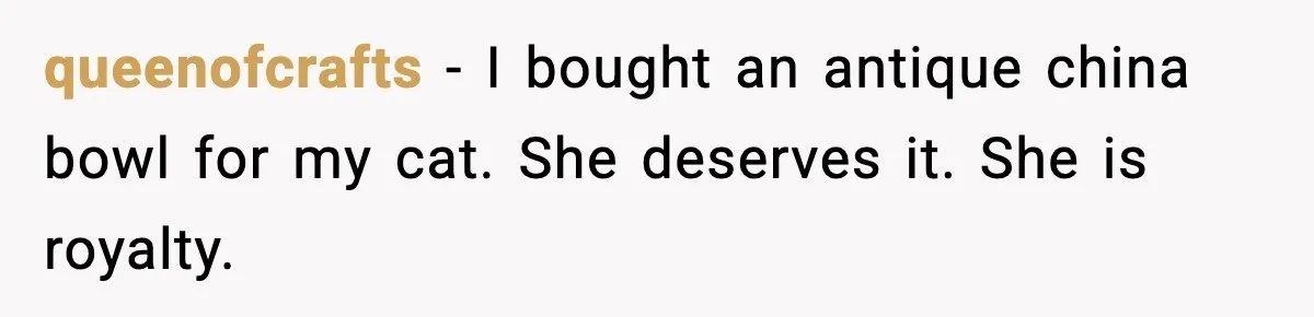 queenofcrafts - I bought an antique china bowl for my cat. She deserves it. She is royalty.