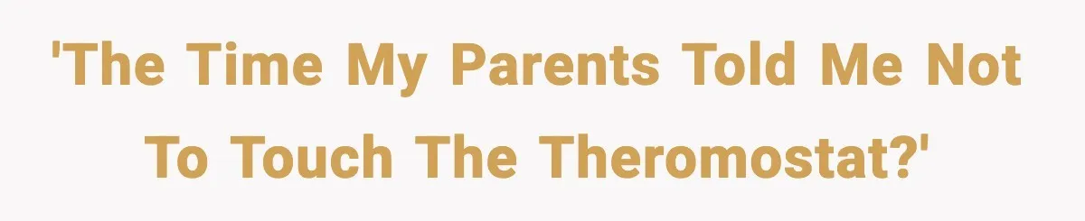 Man Refuses To Adjust Thermostat As Told, Parents Return To 50 Degree Shock 'The time my parents told me not to touch the theromostat?'