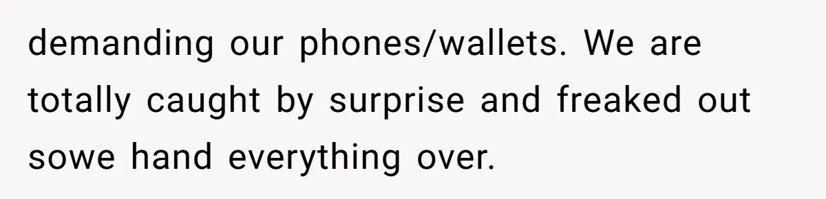 demanding our phones/wallets. We are totally caught by surprise and freaked out sowe hand everything over.