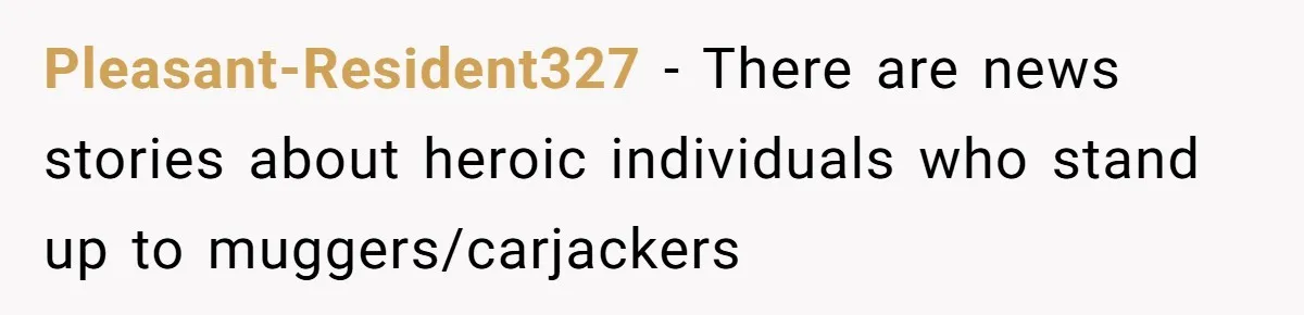 Pleasant-Resident327 − There are news stories about heroic individuals who stand up to muggers/carjackers