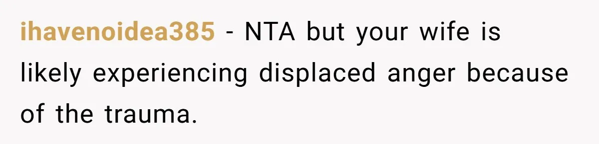 ihavenoidea385 − NTA but your wife is likely experiencing displaced anger because of the trauma.
