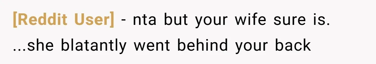 [Reddit User] − nta but your wife sure is. ...she blatantly went behind your back
