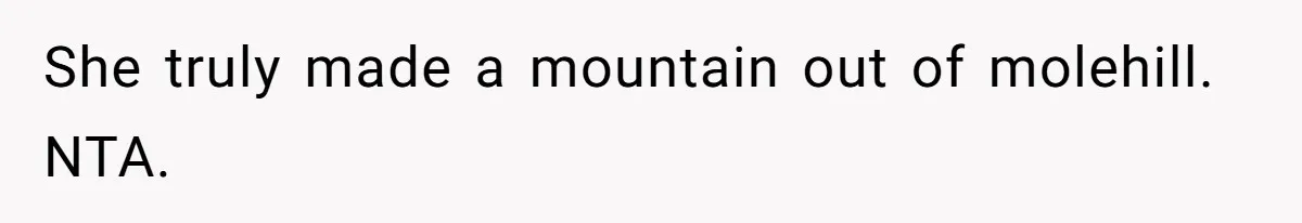 She truly made a mountain out of molehill. NTA.