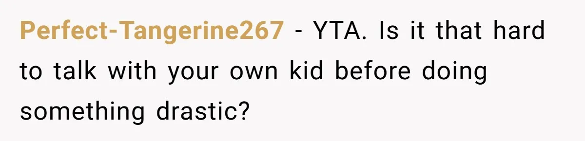 Perfect-Tangerine267 − YTA. Is it that hard to talk with your own kid before doing something drastic?