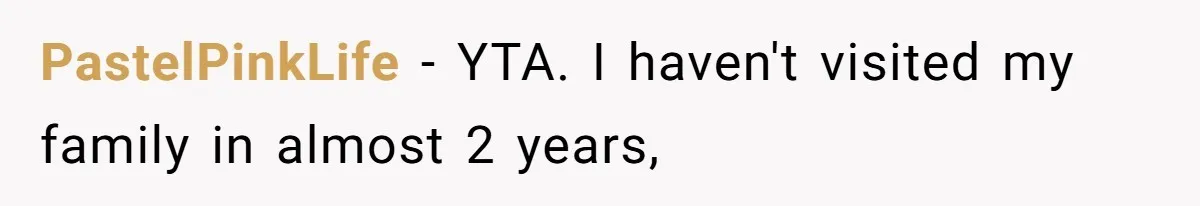 PastelPinkLife − YTA. I haven't visited my family in almost 2 years,
