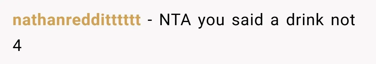 nathanredditttttt − NTA you said a drink not 4