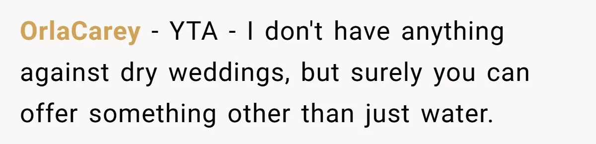 OrlaCarey − YTA - I don't have anything against dry weddings, but surely you can offer something other than just water.
