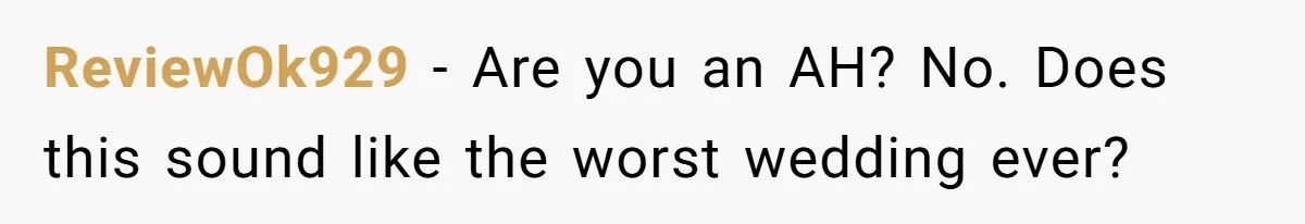 ReviewOk929 − Are you an AH? No. Does this sound like the worst wedding ever?