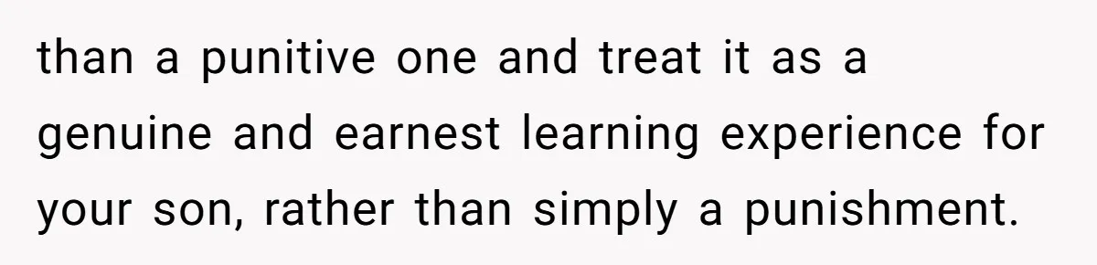 than a punitive one and treat it as a genuine and earnest learning experience for your son, rather than simply a punishment.
