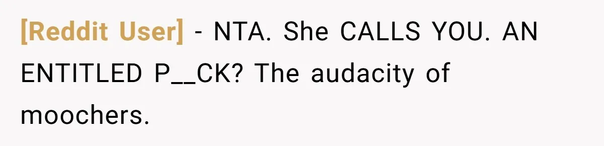 [Reddit User] − NTA. She CALLS YOU. AN ENTITLED P__CK? The audacity of moochers.