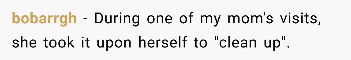 bobarrgh − During one of my mom's visits, she took it upon herself to "clean up".