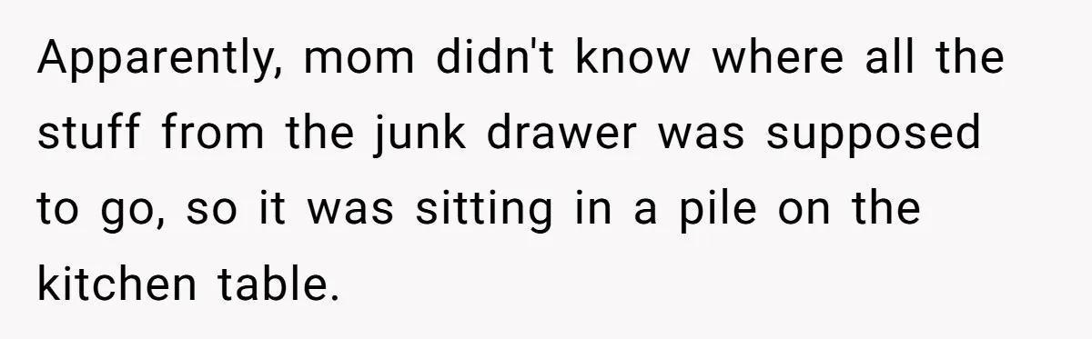 Apparently, mom didn't know where all the stuff from the junk drawer was supposed to go, so it was sitting in a pile on the kitchen table.