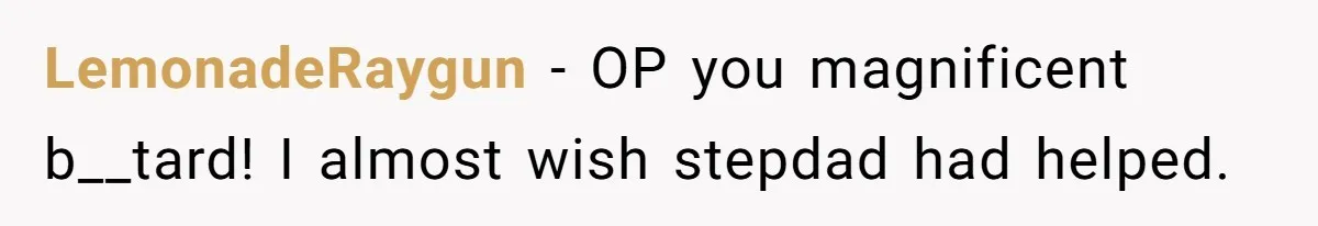 LemonadeRaygun − OP you magnificent b__tard! I almost wish stepdad had helped.