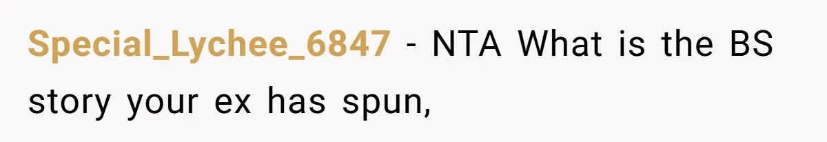 Special_Lychee_6847 − NTA What is the BS story your ex has spun,