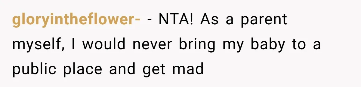 gloryintheflower- − NTA! As a parent myself, I would never bring my baby to a public place and get mad