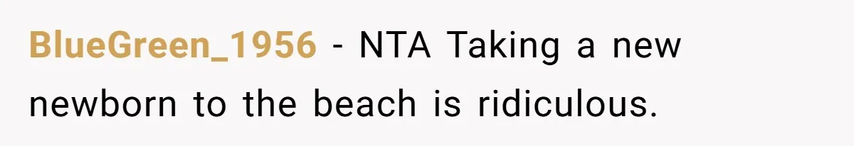 BlueGreen_1956 − NTA Taking a new newborn to the beach is ridiculous.