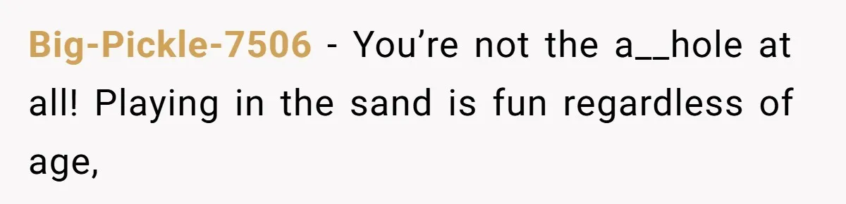 Big-Pickle-7506 − You’re not the a__hole at all! Playing in the sand is fun regardless of age,