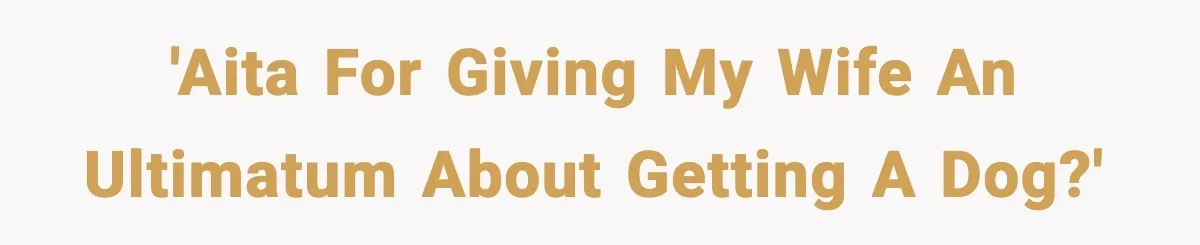 'AITA for giving my wife an ultimatum about getting a dog?'