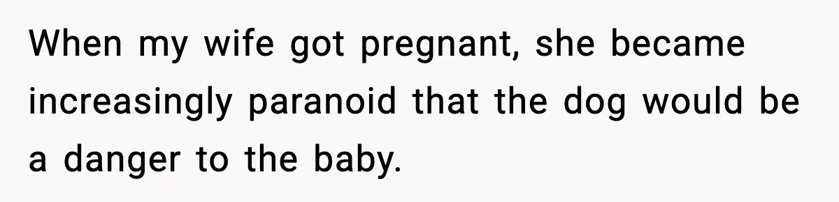 When my wife got pregnant, she became increasingly paranoid that the dog would be a danger to the baby.
