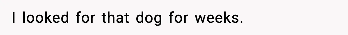 I looked for that dog for weeks.