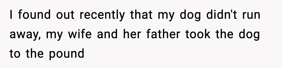 I found out recently that my dog didn't run away, my wife and her father took the dog to the pound