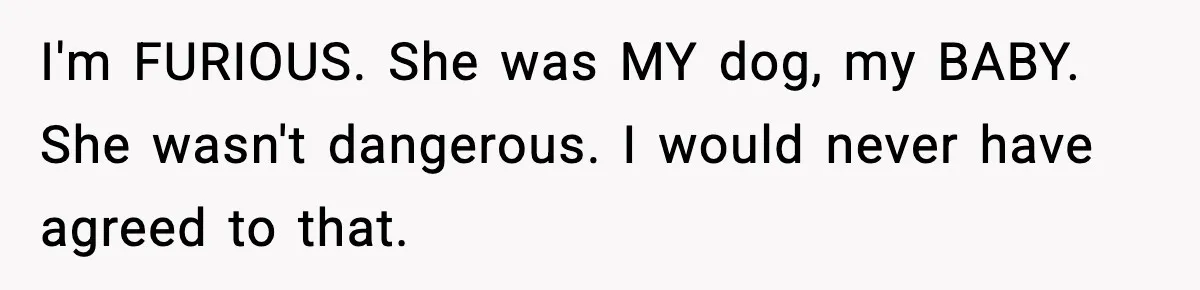 I'm FURIOUS. She was MY dog, my BABY. She wasn't dangerous. I would never have agreed to that.