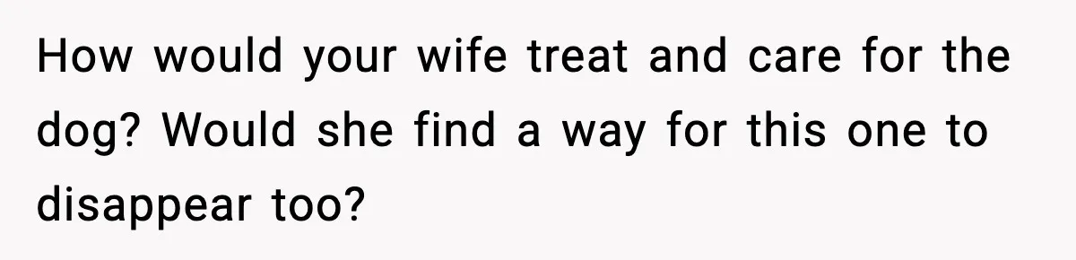How would your wife treat and care for the dog? Would she find a way for this one to disappear too?