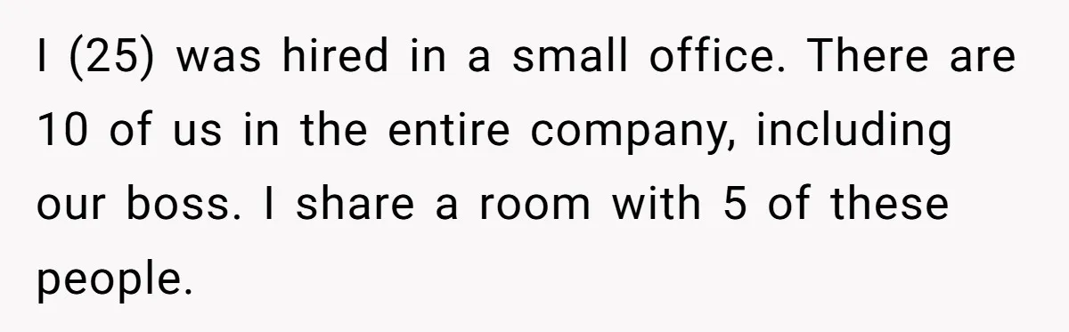 I (25) was hired in a small office. There are 10 of us in the entire company, including our boss. I share a room with 5 of these people.