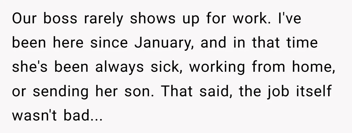 Our boss rarely shows up for work. I've been here since January, and in that time she's been always sick, working from home, or sending her son. That said, the...