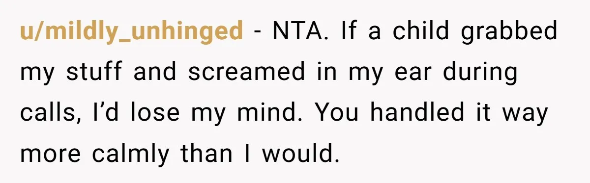u/mildly_unhinged - NTA. If a child grabbed my stuff and screamed in my ear during calls, I’d lose my mind. You handled it way more calmly than I would.
